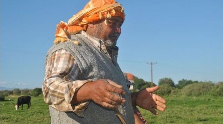Aydınlı &Ccedil;ift&ccedil;i S&uuml;t Alım Fiyatlarından Memnun Değil