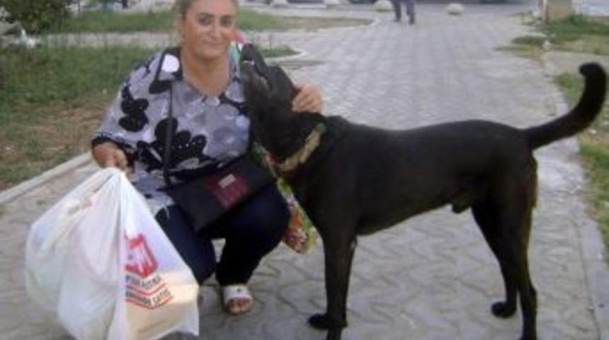 Emekli Maaşın Yarısını Sokak Hayvanlarına Ayırıyor