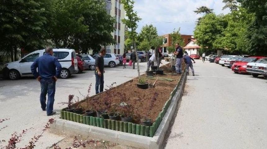 Yeşillendirme &Ccedil;alışmaları Devam Ediyor