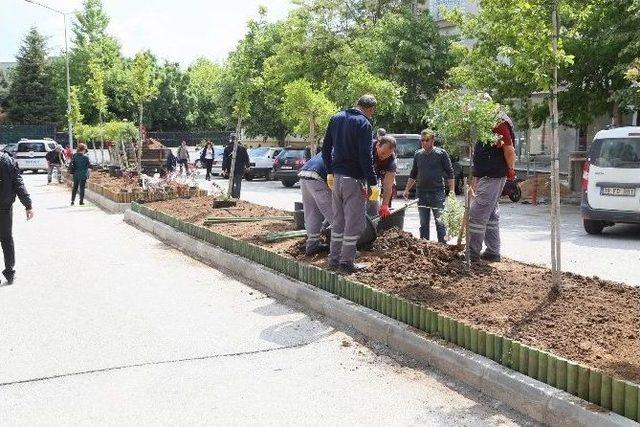 Yeşillendirme Çalışmaları Devam Ediyor