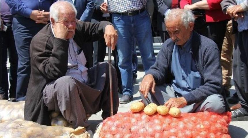 Patates Elde, Soğan Tarlada Kaldı