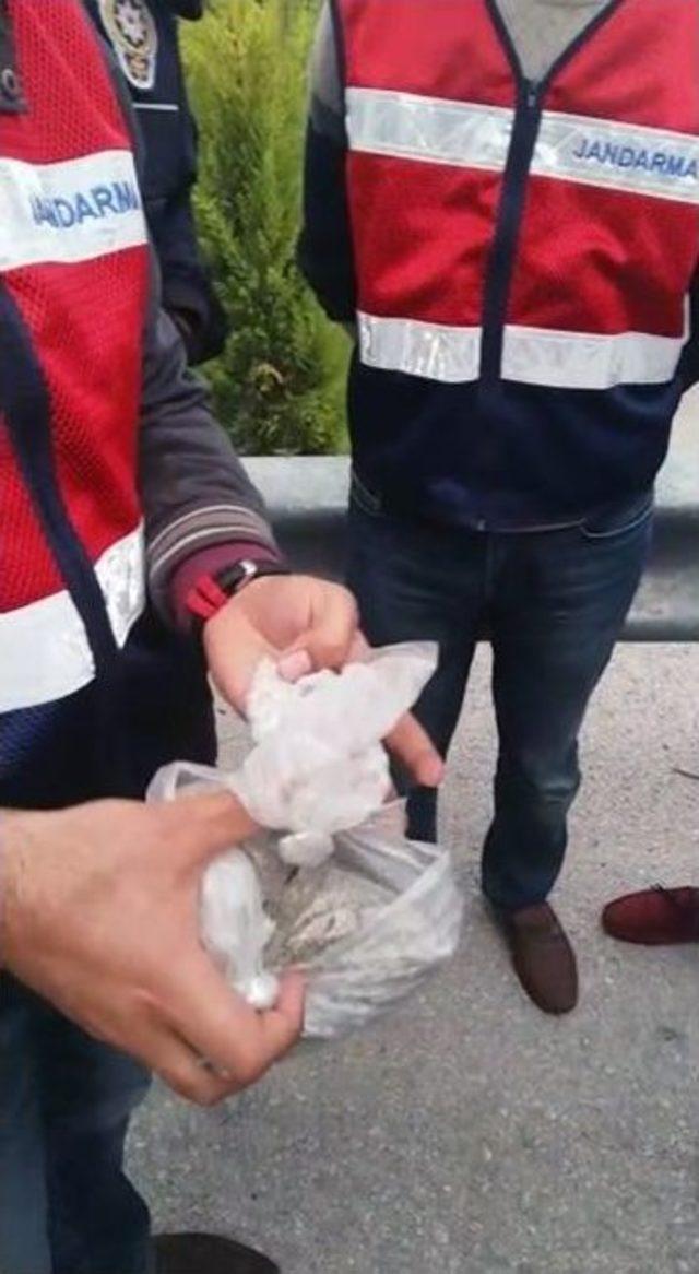 Narkotik K&ouml;pek &rsquo;al&ccedil;ı&rsquo;dan Ka&ccedil;ış Yok 2