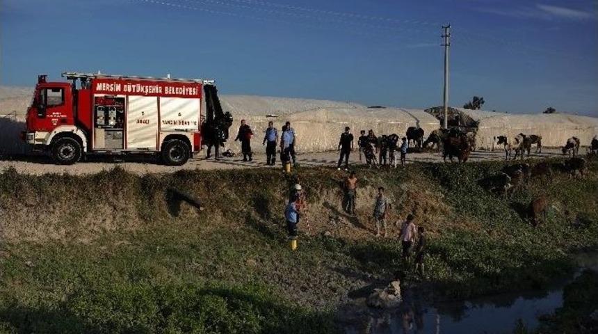 İtfaiyeden İnek Kurtarma Operasyonu