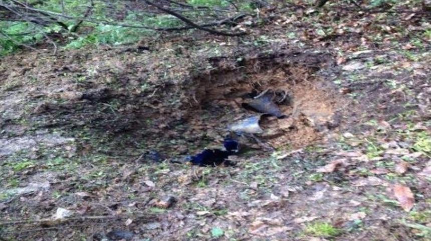 Şemdinli&rsquo;de Operasyon