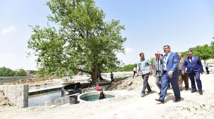 Başkan G&uuml;rkan, Tarihi &Ccedil;ınar Rekreasyon Alanı Projesi &Ccedil;alışmalarını İnceledi