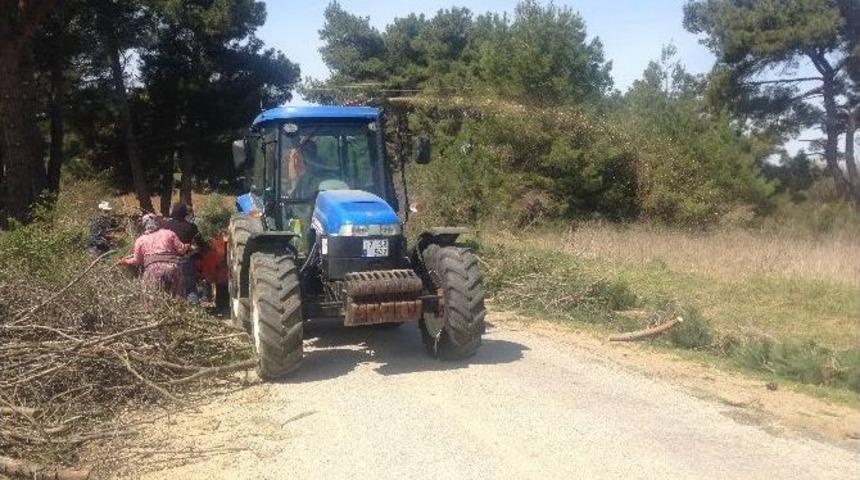 Şehitlik Alanlarında &Ccedil;evre Temizliği Yapıldı