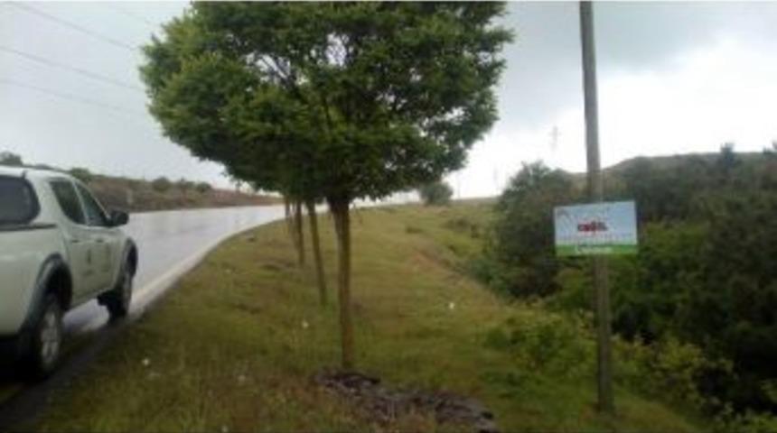 &Ccedil;evreci Hizmetler Takdir Topluyor