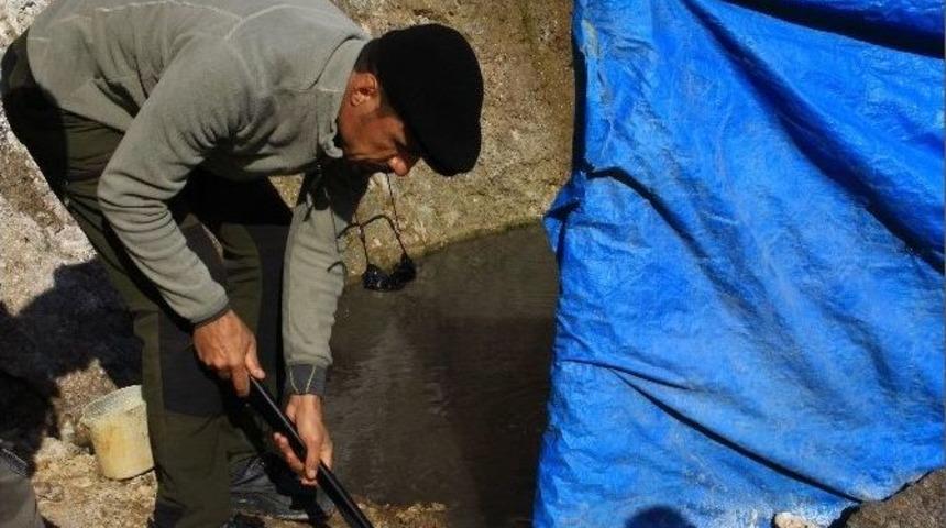 Bir Yanı Şifa Diğer Yanı &Ccedil;&ouml;pl&uuml;k