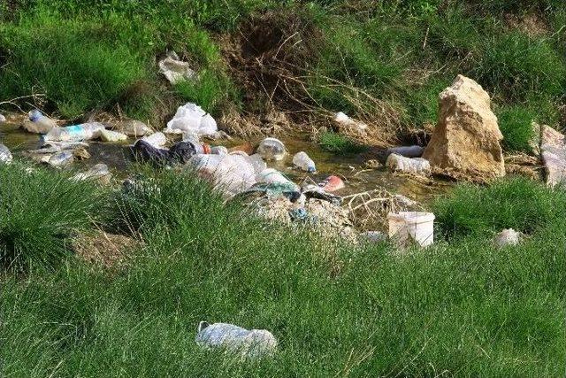 Bir Yanı Şifa Diğer Yanı &Ccedil;&ouml;pl&uuml;k 1