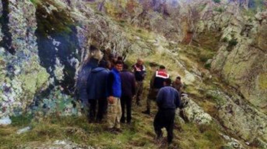 Mantar Toplamaya Gittiler, Silah Ve Telsiz Buldular