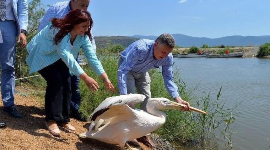 Ser&ccedil;in Ekoturizmin Merkezi Olacak