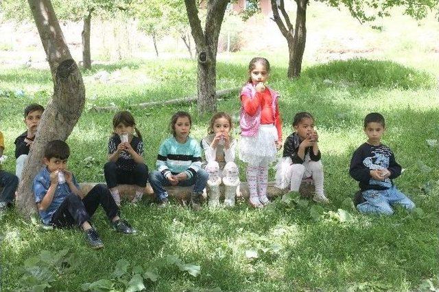 Beytüşşebap’ta Öğrenciler Sınav Stresini Piknik Yaparak Attı