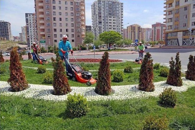 Talasın Refüjleri Ve Kavşakları Rengarenk