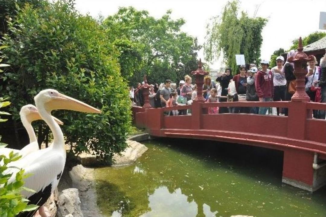 Engellilerin Hayvanat Bah&ccedil;esi Keyfi