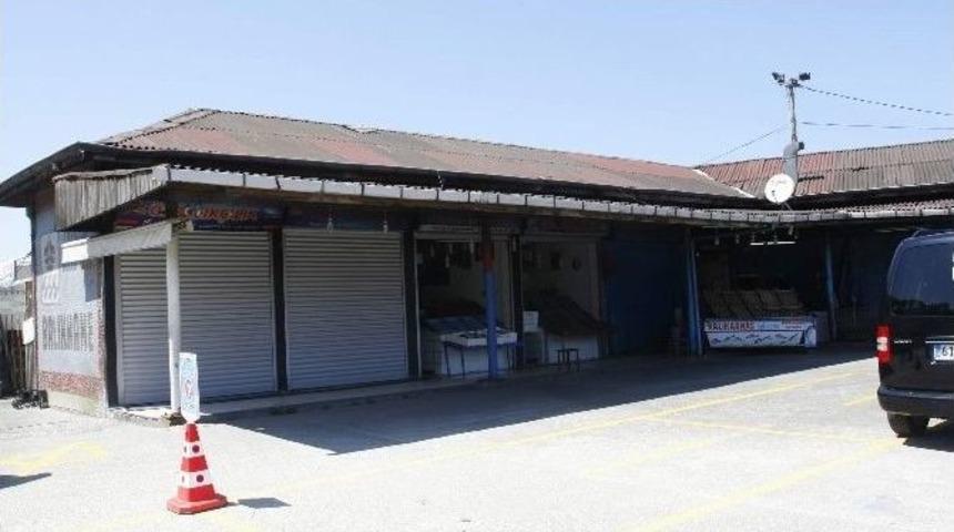 Av Yasağında Tezgahları Kıyı Balık&ccedil;ılarının Avladığı Balıklar S&uuml;sl&uuml;yor