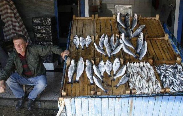 Av Yasağında Tezgahları Kıyı Balıkçılarının Avladığı Balıklar Süslüyor