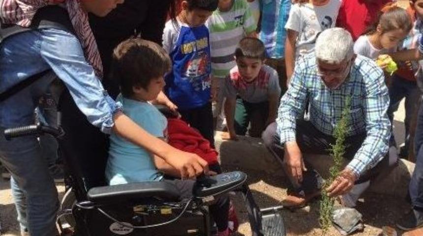 Reyhanlı&rsquo;da &Ouml;ğrenciler Fidan Dikti