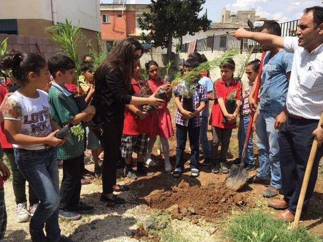 Reyhanlı’da Öğrenciler Fidan Dikti