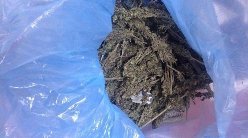 G&uuml;r&uuml;n&rsquo;de Uyuşturucu Operasyonu