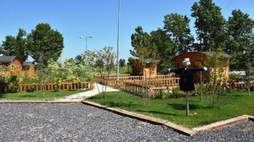 S&uuml;leymanpaşa Belediyesi&rsquo;nin Hobi Bah&ccedil;eleri G&ouml;z Kamaştırıyor