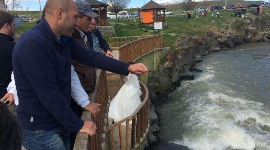 İnci Kefalinin Muhteşem Yolculuğu Başladı