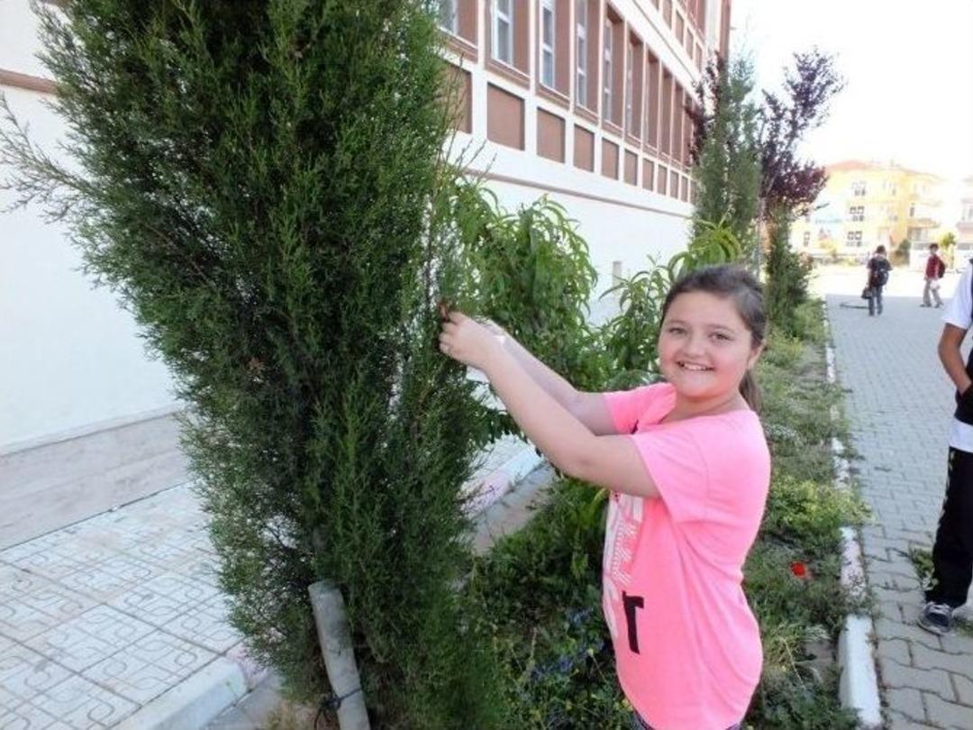 Okulda Hıdırellez Coşkusu