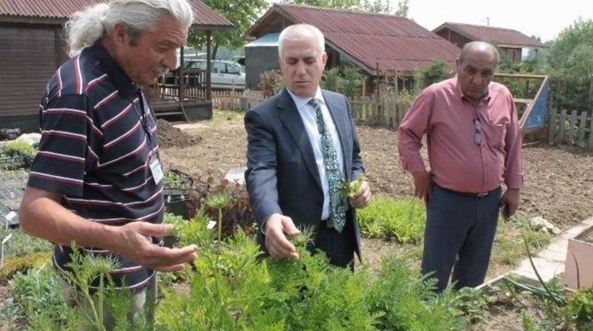 (&ouml;zel Haber) Eko Bah&ccedil;e Tıbba Işık Tutuyor