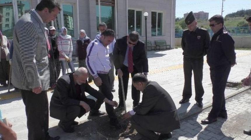 Beyşehir&rsquo;de Gen&ccedil;lik Merkezinin Bah&ccedil;esi Ağa&ccedil;landırıldı