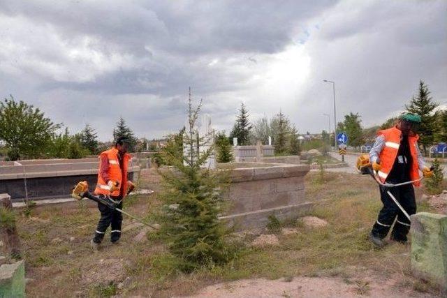 Melikgazi Belediyesince Mezarlıklarda Temizlik Ve Bakım Çalışması