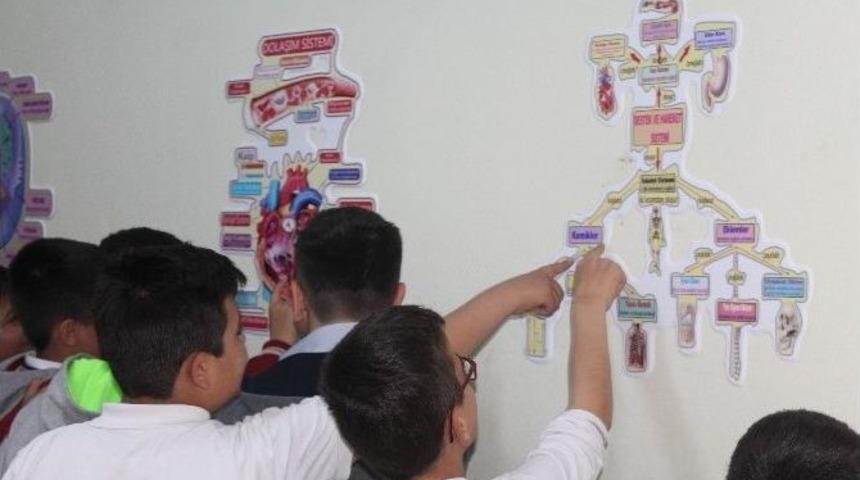 Fen Bilgisi &Ouml;ğretmen Adayları Ortaokul &Ouml;ğrencilerine Fen Koridoru A&ccedil;tı