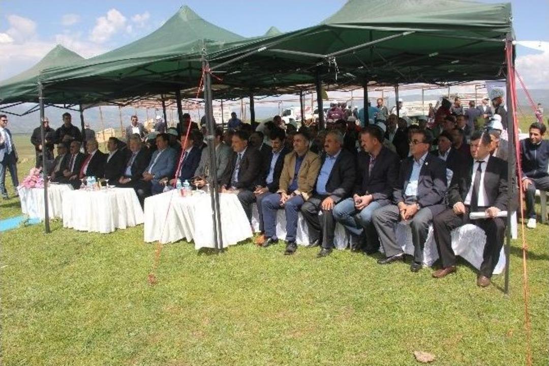 Bing&ouml;l&rsquo;de &Ouml;d&uuml;ll&uuml; Ko&ccedil; Ve Kuzu Yarışması