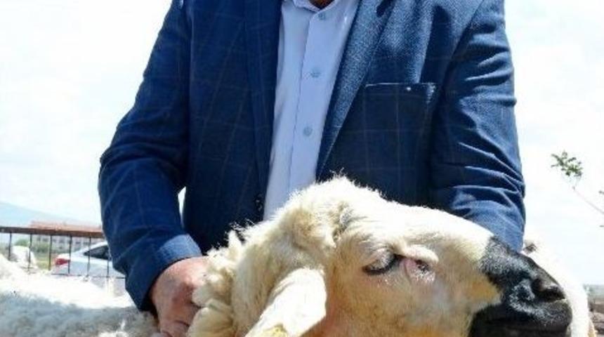 Aksaray&rsquo;da &Uuml;reticiye 7,5 Milyon Tl Destek &Ouml;denecek