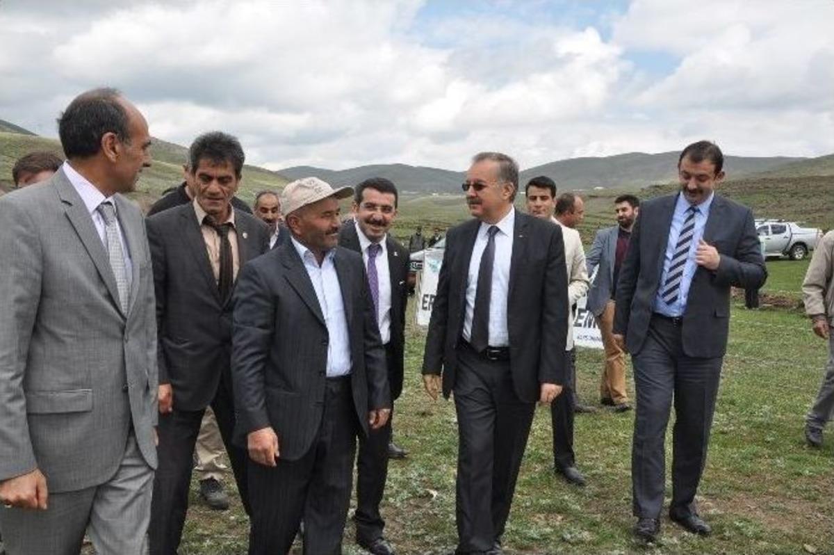 Adı Hatıra Ormanına Verilen Şehit &Uuml;steğmen Darboğaz&rsquo;ın Halası G&ouml;zyaşlarına Boğuldu