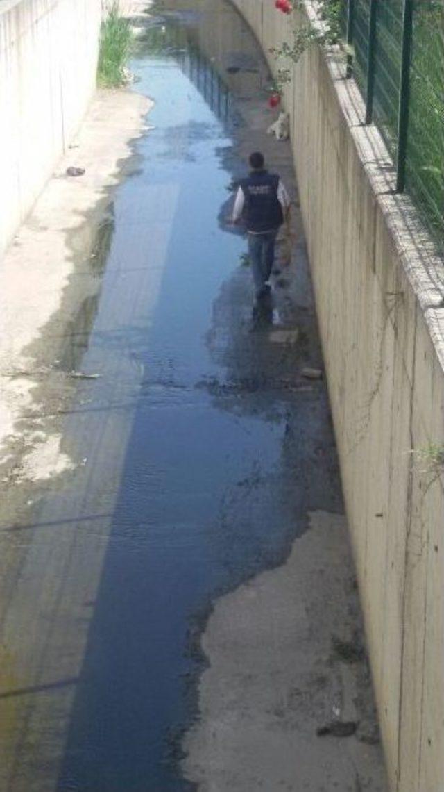 Ey&uuml;p&rsquo;te K&ouml;pek Kurtarma Operasyonu 1