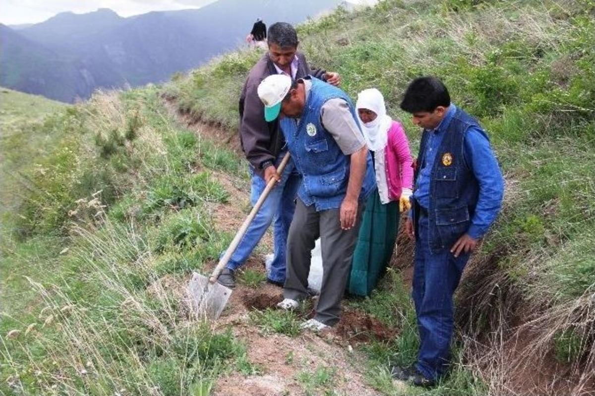 Iğdır&rsquo;ın Dağları Ağa&ccedil;landırılıyor