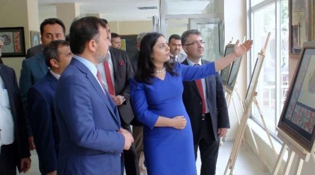 Ebru Sergisine İlgi