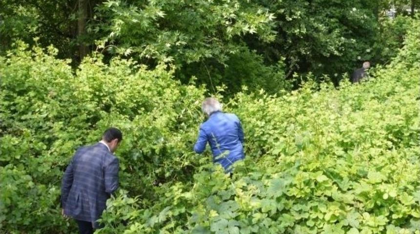 Bursa&rsquo;da 2 Bin Yıllık K&ouml;pr&uuml; Bulundu