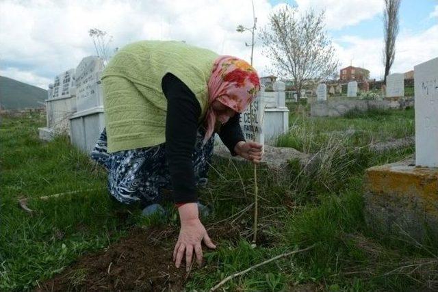 Şehitlik Anıtına 400 Fidan Dikimi Yapıldı 1