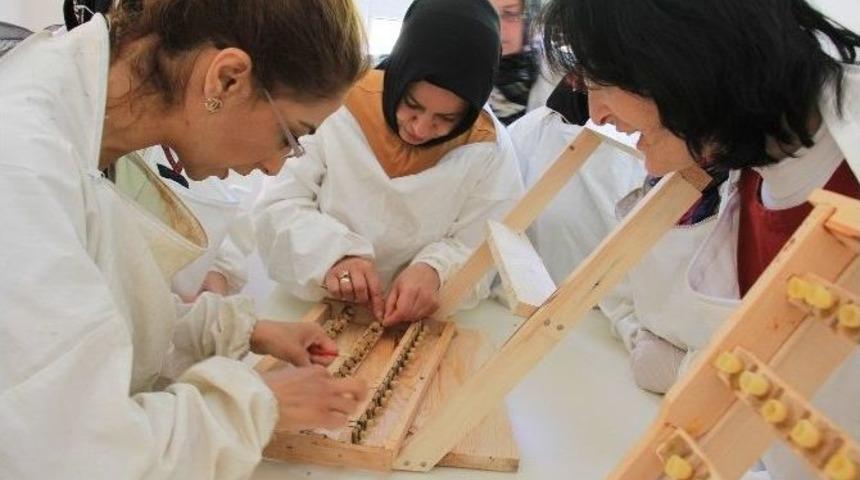 Kadın Arıcılara Eğitim