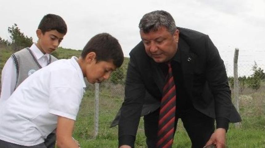 Polisler Fidan Dikti