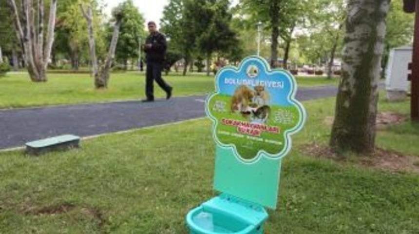 Bolu Belediyesi&rsquo;nden Sokak Hayvanları İ&ccedil;in &Ouml;rnek Proje