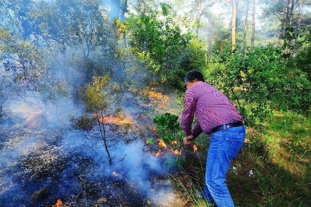 Muski Ekiplerinden Orman Yangınına İlk Müdahale