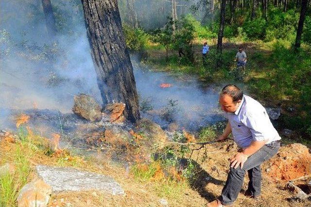 Muski Ekiplerinden Orman Yangınına İlk Müdahale