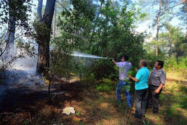 Muski Ekiplerinden Orman Yangınına İlk Müdahale