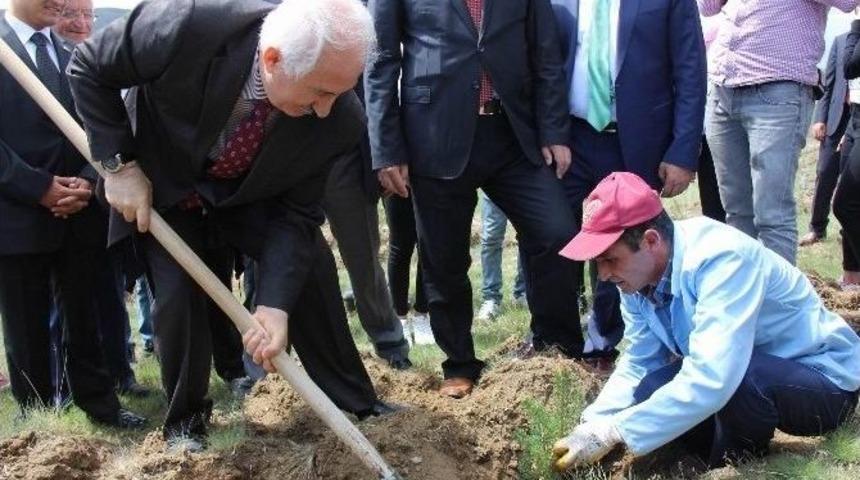 Vali Barut, Yıldızeli İl&ccedil;esinde İncelemelerde Bulundu