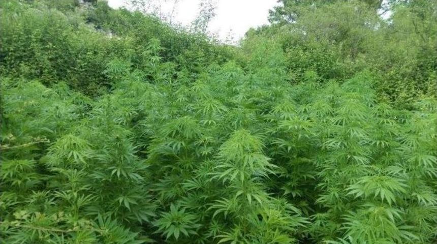 İzmir&rsquo;de Uyuşturucu Tacirlerine Darbe