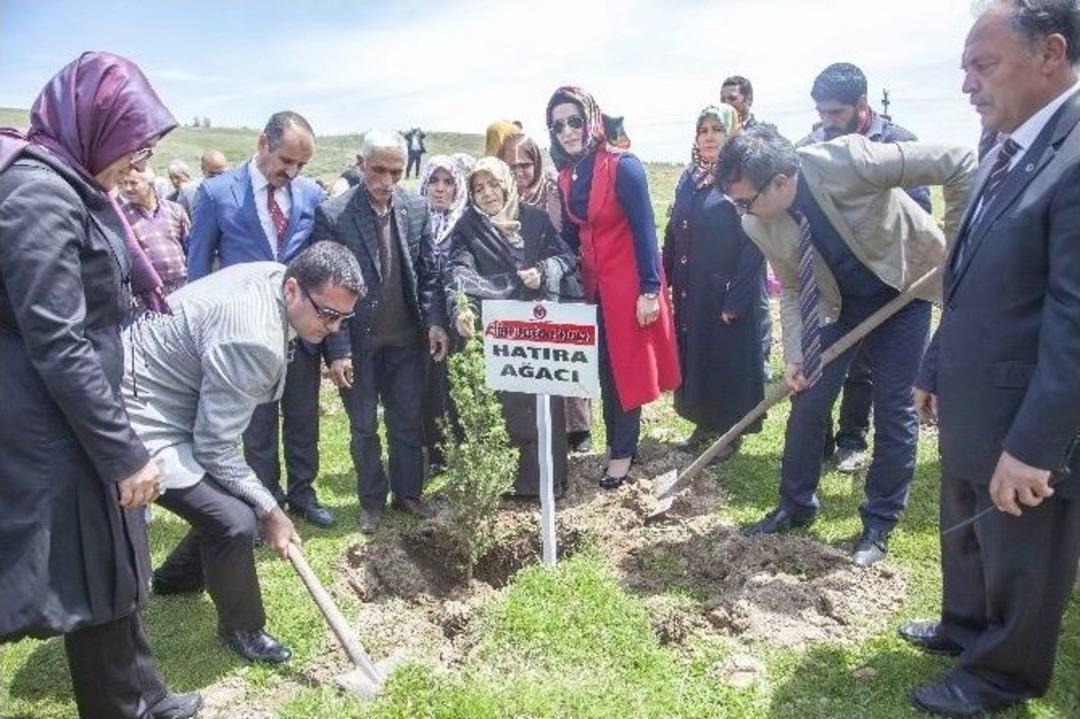 Ahlat&rsquo;ta Hayme Ana Hatıra Ormanı Oluşturuldu