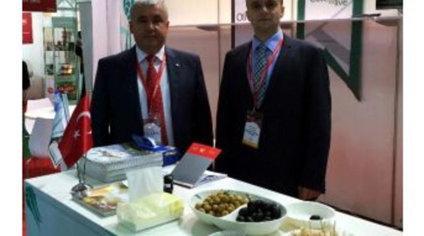 Zeytin Ve Zeytinyağı İhracat&ccedil;ılarında Er D&ouml;nemi