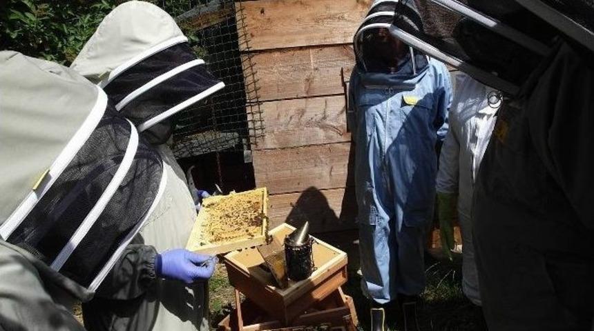 Aydın&rsquo;da Orman K&ouml;yl&uuml;lerine 12,8 Milyon Tl Katkı