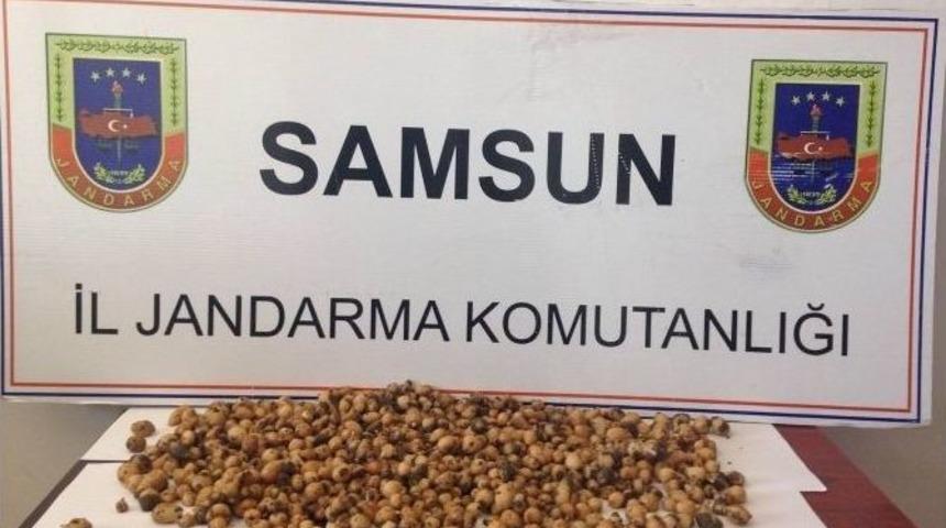 Ka&ccedil;ak Salep Toplayana 40 Bin Lira Ceza